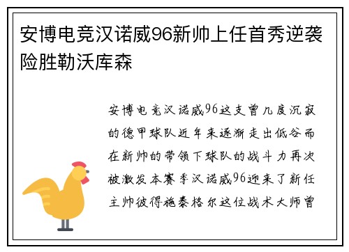 安博电竞汉诺威96新帅上任首秀逆袭险胜勒沃库森